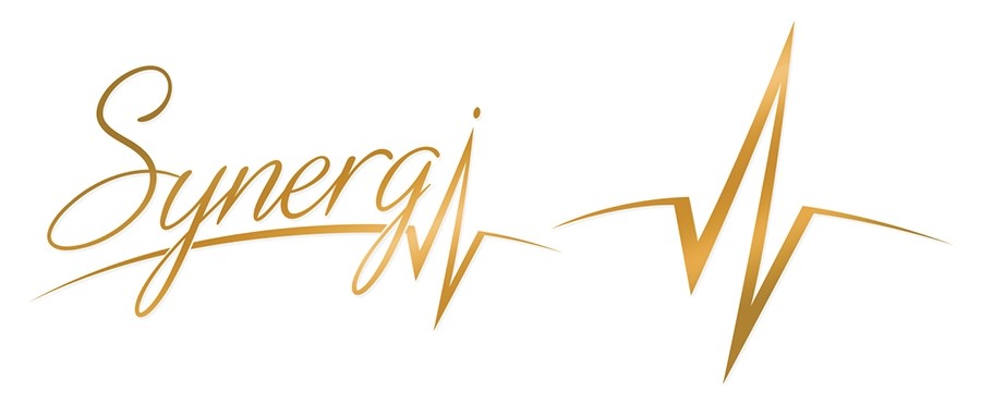 Synergi Final