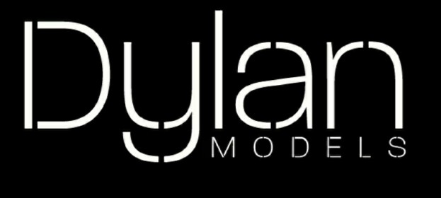 dylan-models
