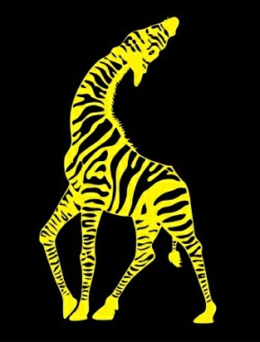 Tshirt Design