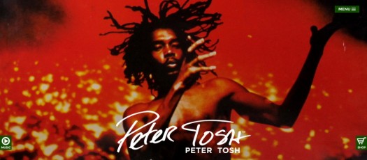 Peter Tosh - Musical Artist & Activist